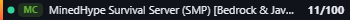 Small server banner