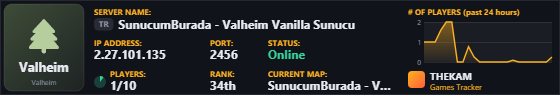 Classic server banner