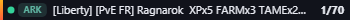Small server banner